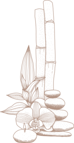 contact-bg-an-01